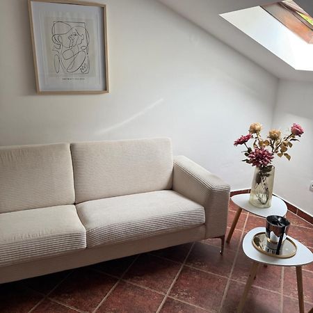 Apartment Damjan Kotor Bagian luar foto