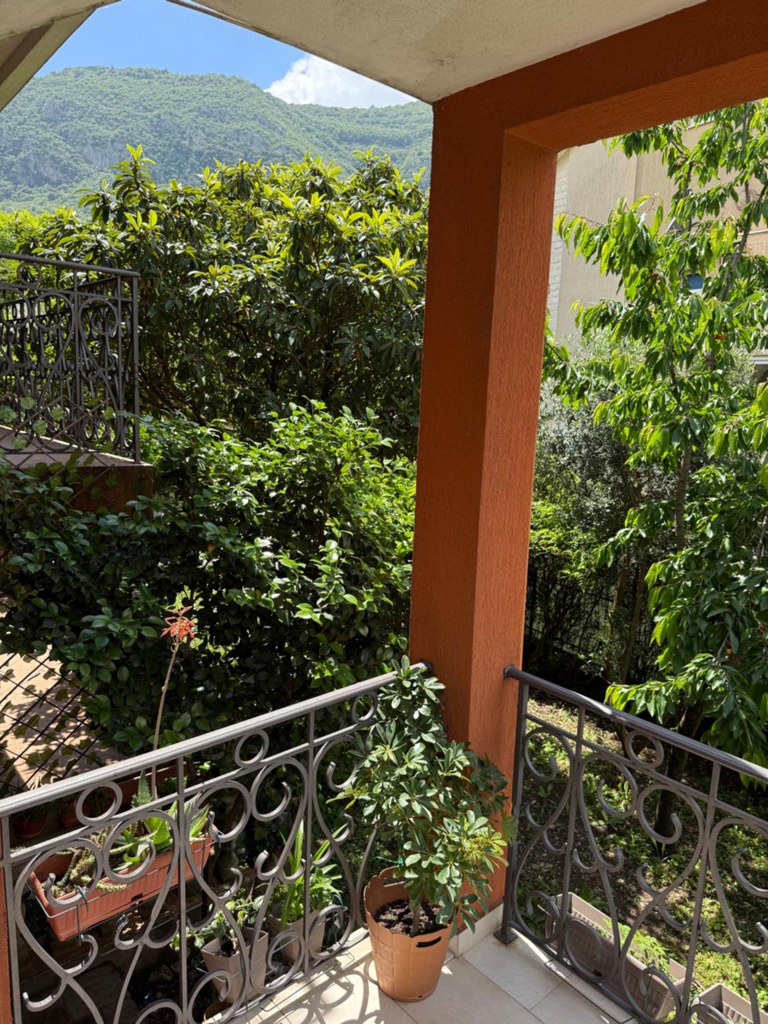 Apartment Damjan Kotor Bagian luar foto